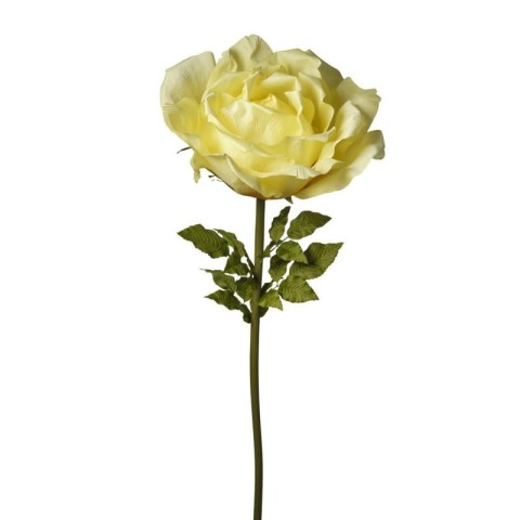 RAMO ROSA CM170 GIALLO CHIARO